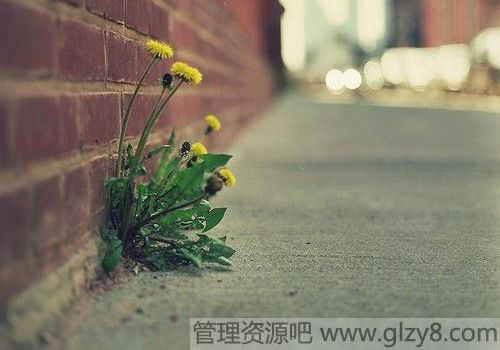 跟元旦有关的诗歌