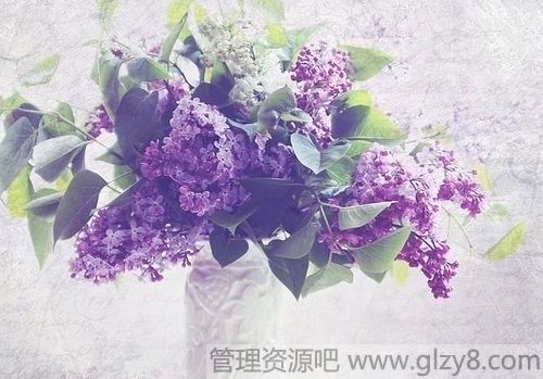 我把日子喜欢着