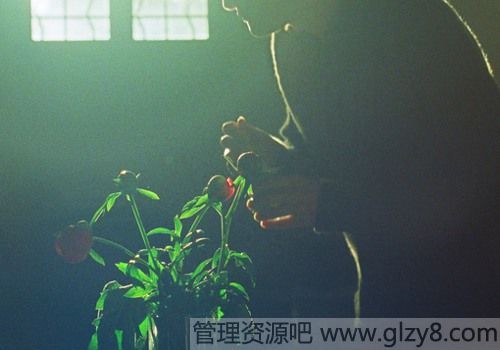 ΢ֻ룬ػСǿ