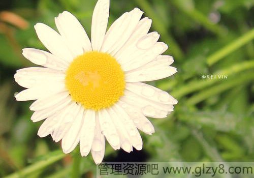 綼ʱȴҪ