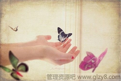 2013ڹʫ-