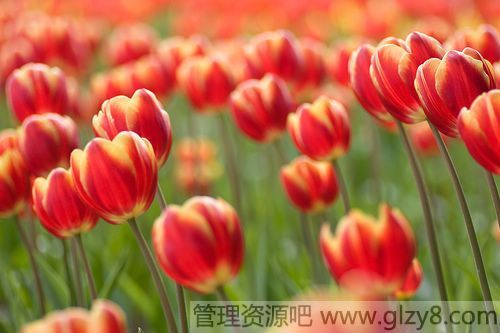 밮ģڰģѾʧȥ