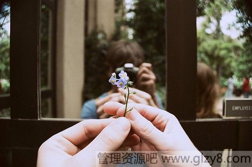 뿪꣬ΪĻ