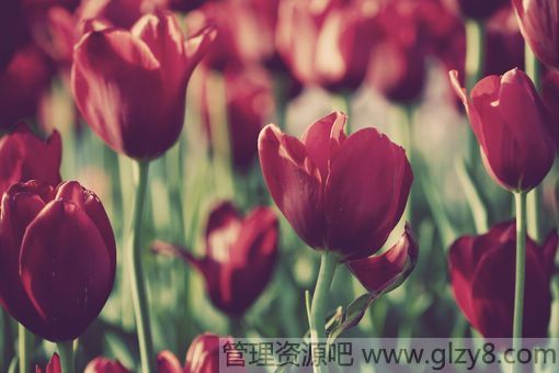 аĳ游-ϵ