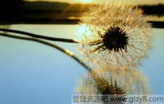 簲Ĳ죬