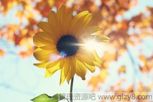 ͯѧӡǣ㻹ǵ