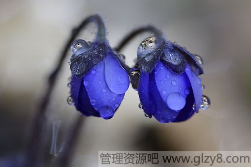 д󲿷ֵŮ