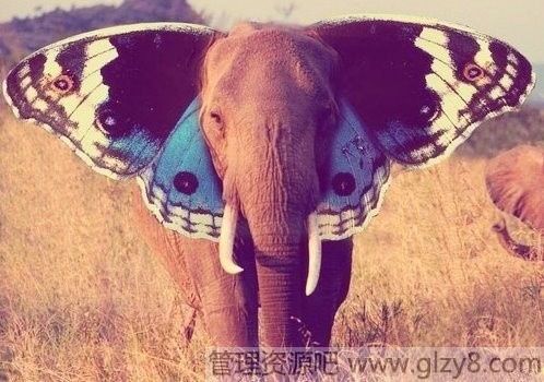 ۺ쳾·ϧԵ