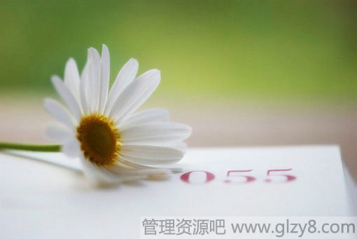 屾¼