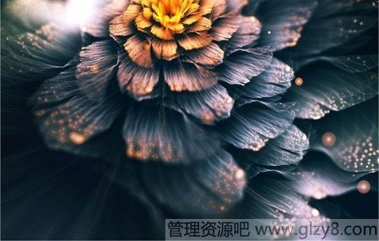 ɹĹ滮100