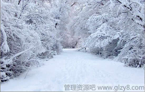 在自己的生命深处追寻到真理