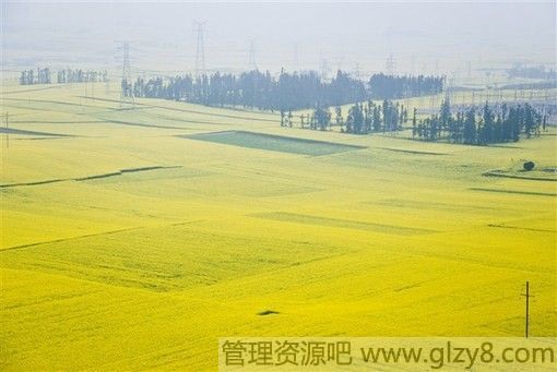 Լ̫