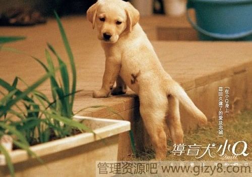 10仰