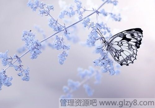 2012䰮-మָо,ָоѾʱ