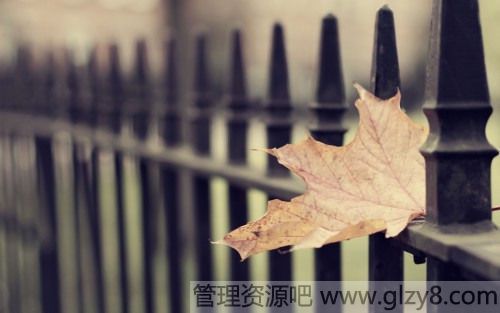 ڵ֮