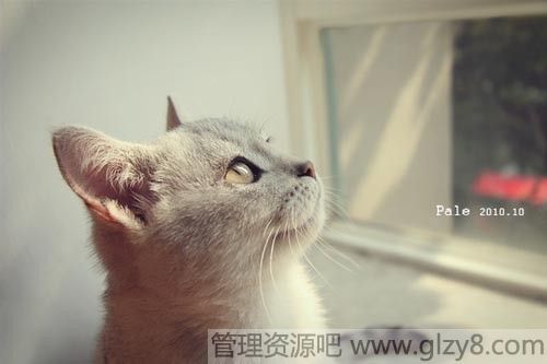У԰