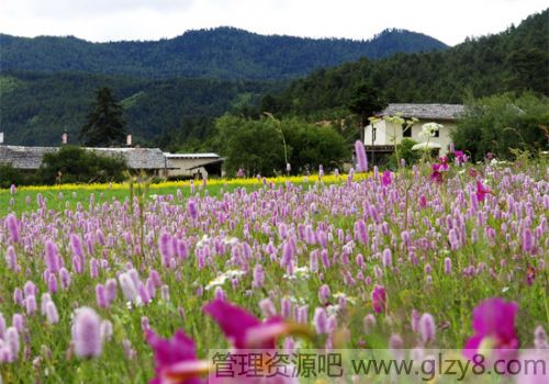 铅酸蓄电池如何修复