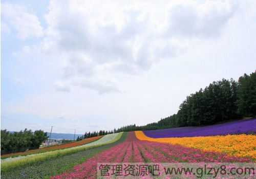 月饼选购食用指南