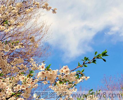 夏季食物如何保存