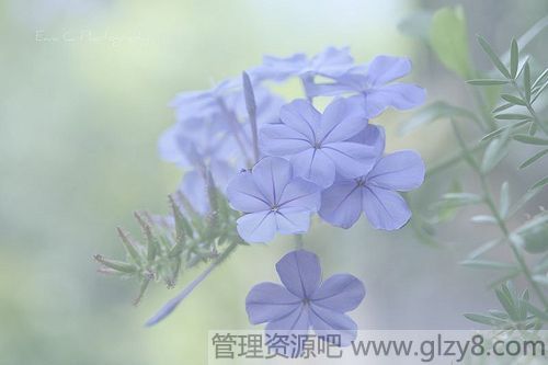 空调漏水是什么原因