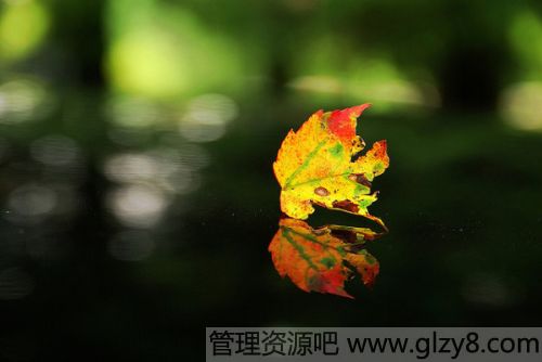 ˯