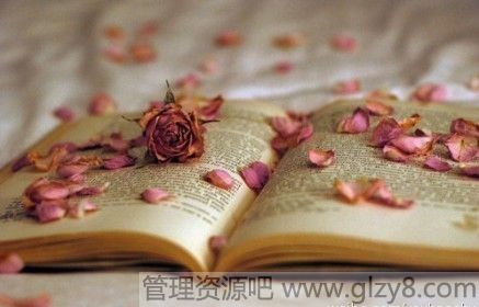 炖鸡不宜先放盐