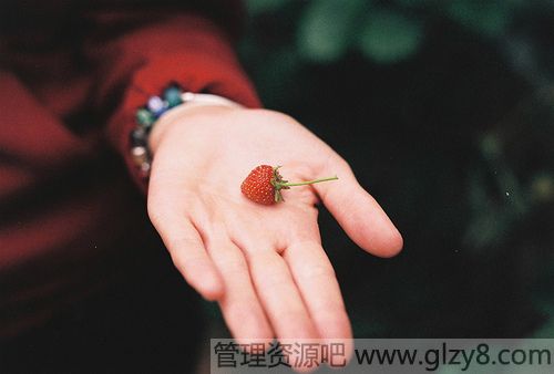 股息与红利的来源