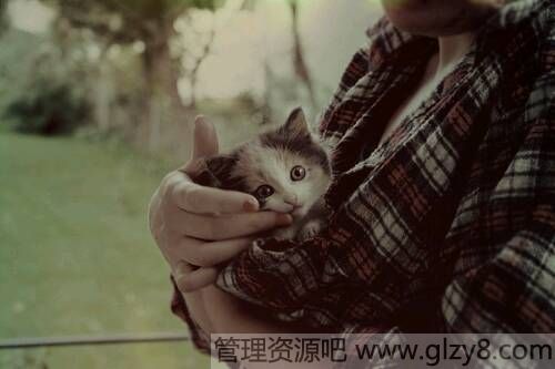 ڴ˵ֺ