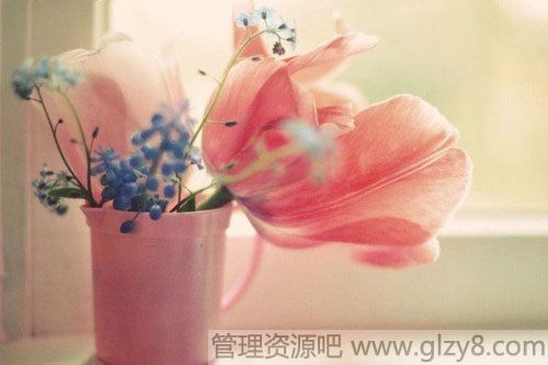 清明节习俗汇总