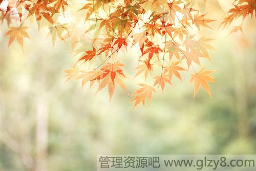 3月3日是什么节日 全国爱耳日和女儿节