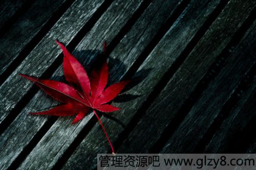 腊八节各地风俗