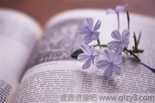 芒种是什么时候