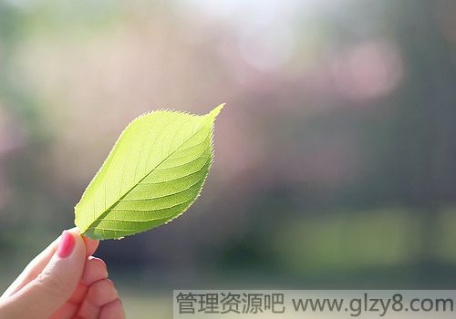 3月12日是什么节日