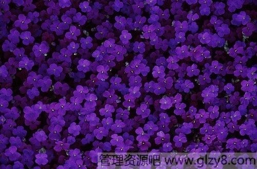 8月份有哪些节日