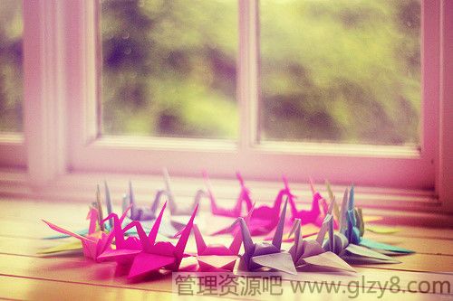 1月23日是什么节日