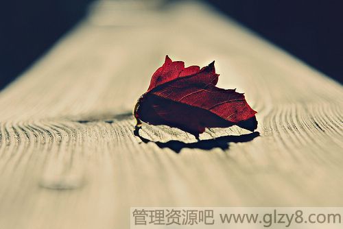 12月10日是什么节日