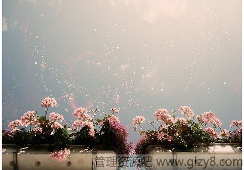 ʳ
