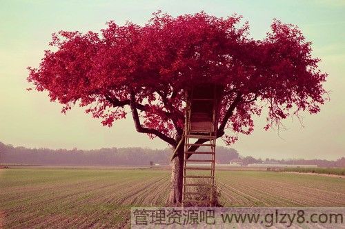 教师节的由来