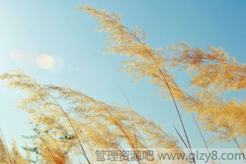 й칫ҵ22Ǳ