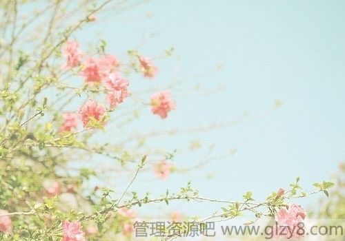 ְʮ󡰻ˡ