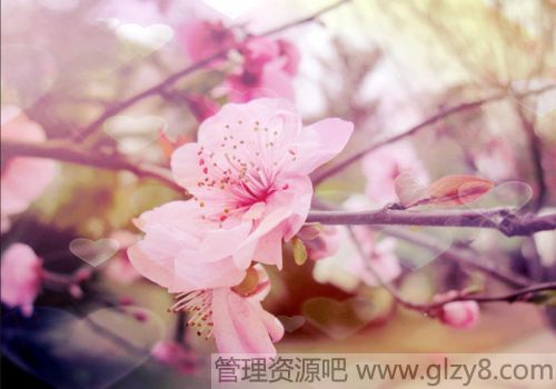 첻ɲ֪