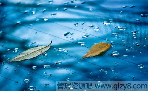 ҵĻĳ湤ʲô