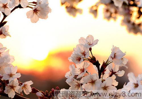 а첻ݺǽ״