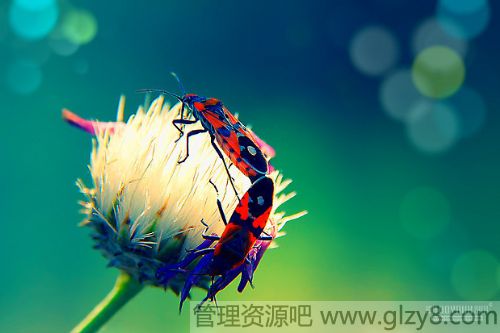 ʮ˷ְѹ