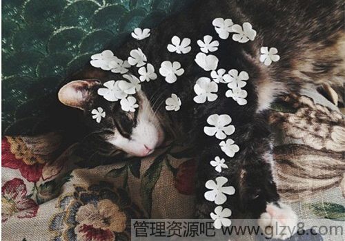 Ӧҵһ