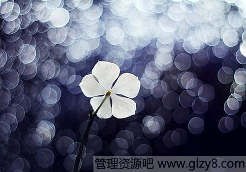 ҵؾȱ缸
