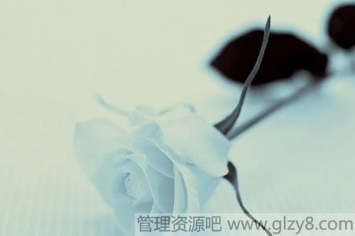 ѧУܱʲô׬Ǯ