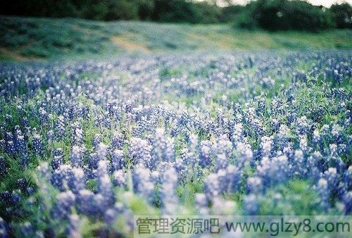 Ӱְҵ滮5