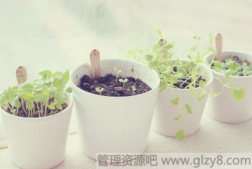 绰۵14Լü
