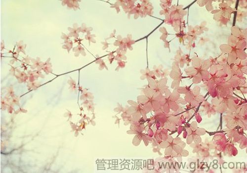ηҵ᣿